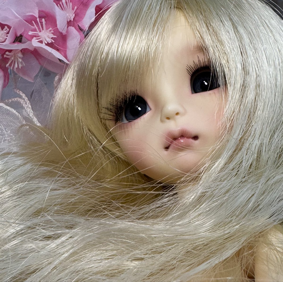 grm_FF14's tweet photo. うちの子紹介⭐️10年位リビングに居る『iMda』イムダさんちの🌱Modigli(モディリー)ちゃん。🌱30cm、服は火曜子や幼、頭大きい。身体の質感が微妙にビスク調🤔
大昔、数が少なくて入手が難しい時期に直接海外予約だったなぁ。
ちょっと拗ねたような表情と服が全部素敵w
#imda #Modigli #imdadoll https://t.co/96UZs5B7p7