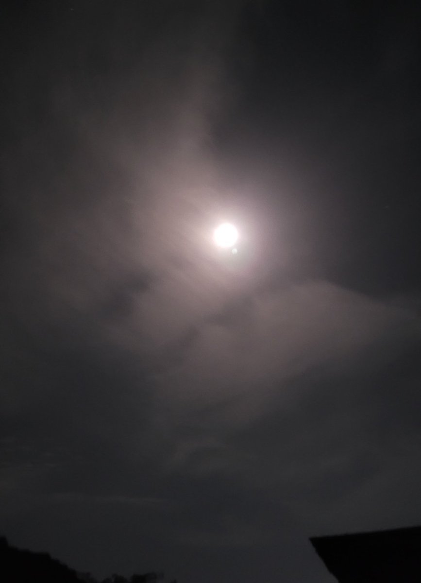 Daniel Regha tweet media