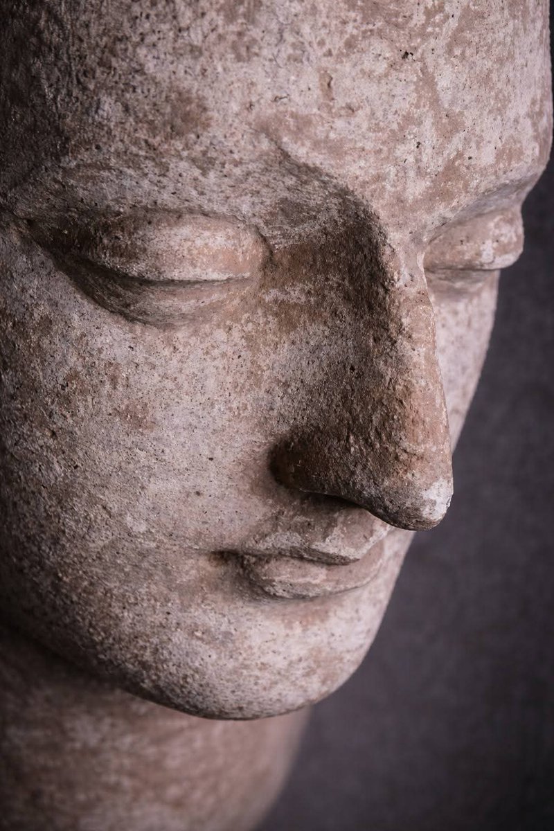 gauravsinghlive's tweet image. Silent face, infinite calm — a timeless expression of inner peace.

Buddha - Gandhara art.

#buddhist_cave #buddhist #peace #buddhism #buddha
