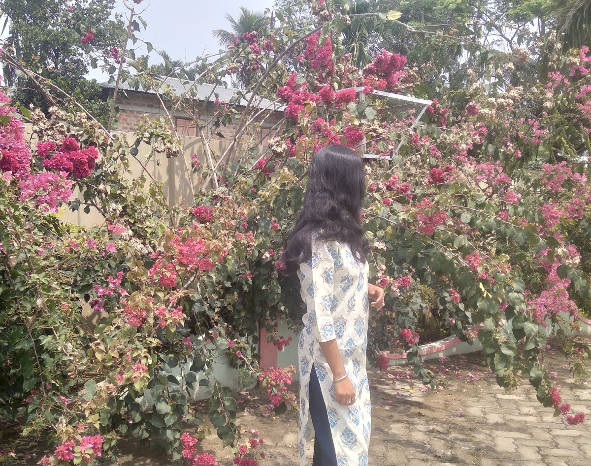 Sagarikaaa👩‍💻🌱 tweet media