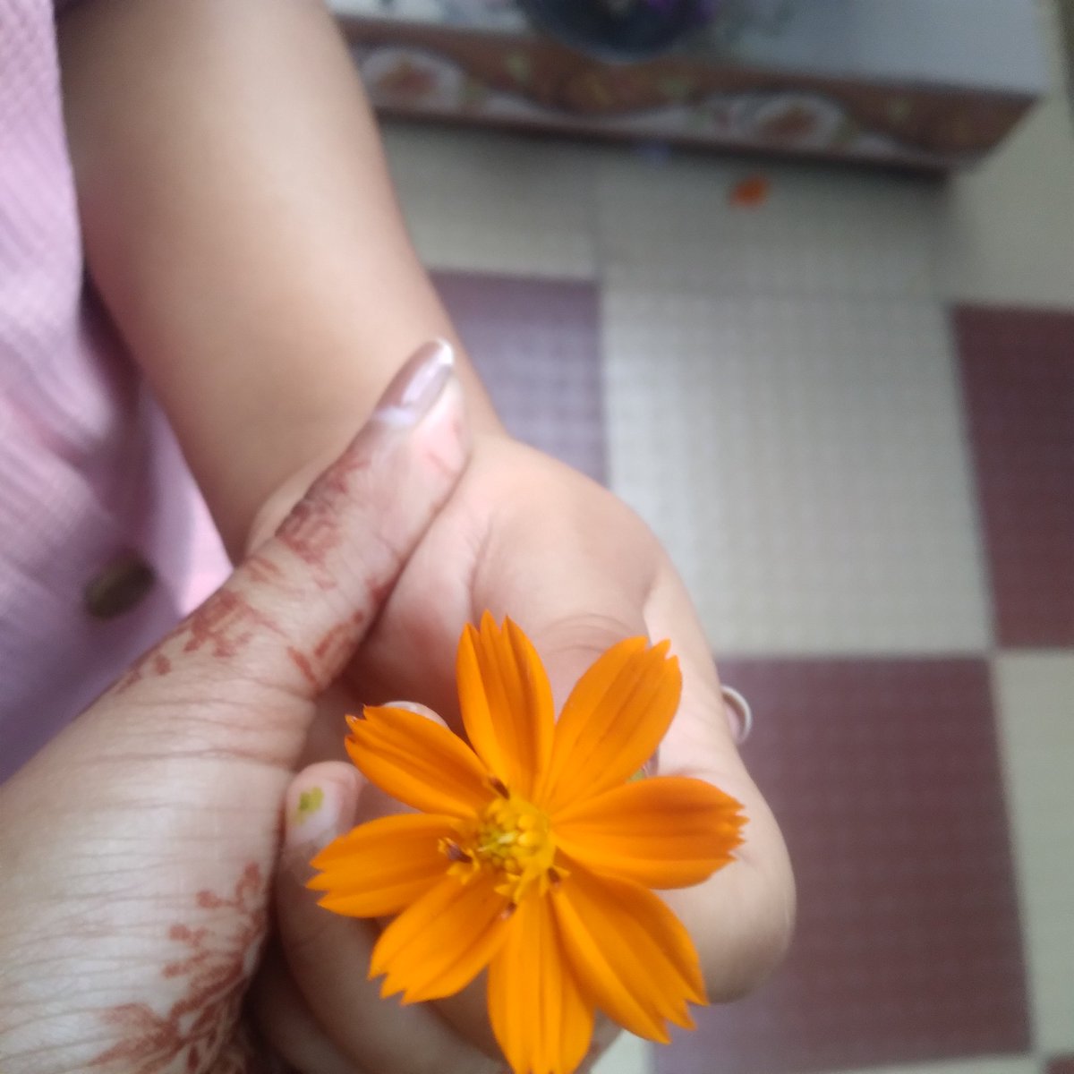 Sagarikaaa👩‍💻🌱 tweet media