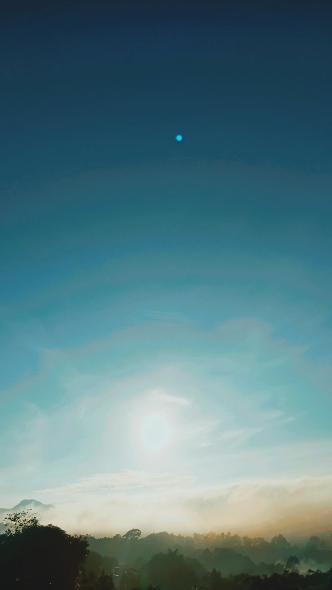 the bullshxxxt tweet media