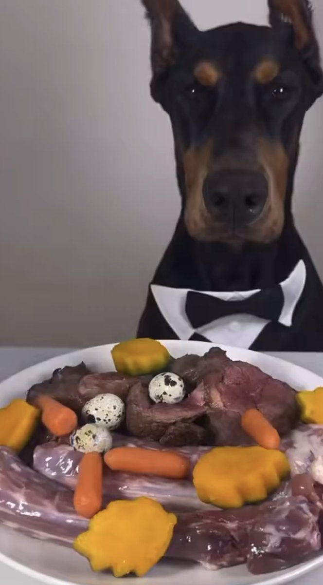 핫토리 준식(폰헌터) tweet media