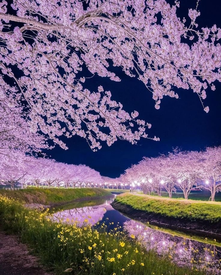 Aesthetics tweet media