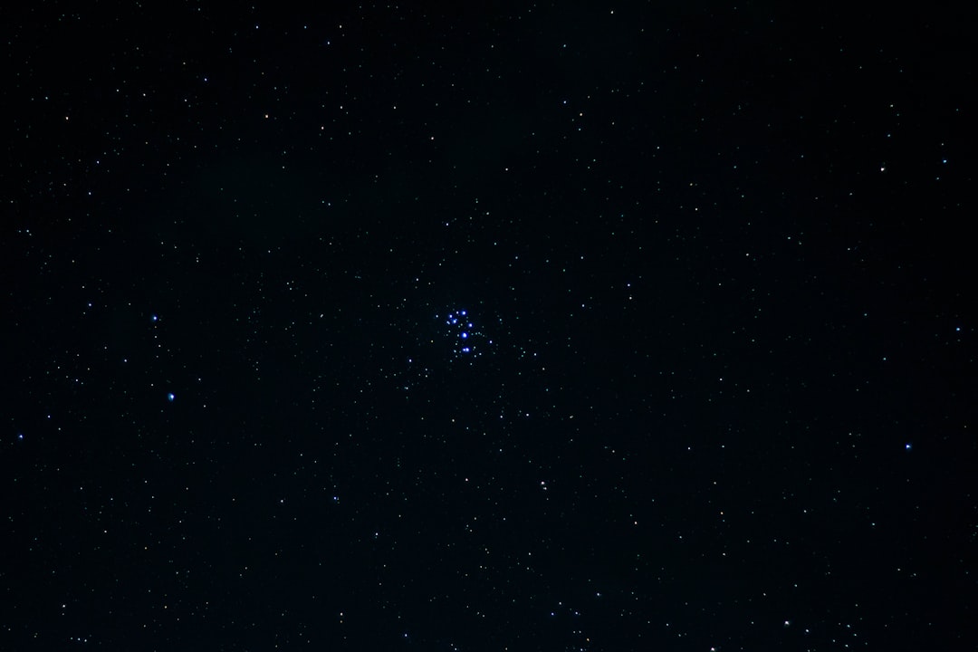 Jalisa Avari Celebrity Fan Page tweet media