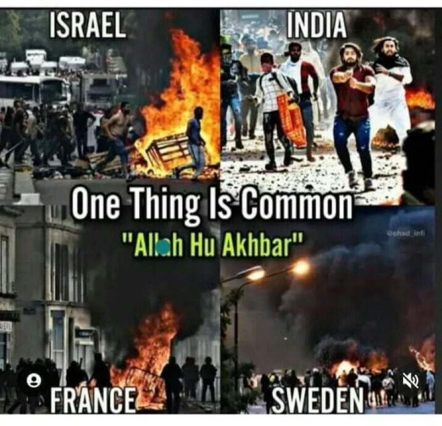 モチてん🧸🇯🇵 tweet media