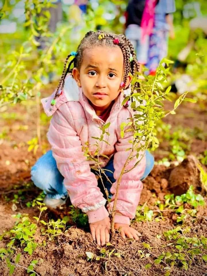 BehiwotTilahun's tweet image. The biggest afforestation effort in the world has happened right here in Ethiopia. 🌳🇪🇹

Over the past 7 years, more than 48 billion trees have been planted through the Green Legacy Initiative.

Led by PM Dr. @AbiyAhmedAli.

A legacy that will outlive us all. #GreenLegacy