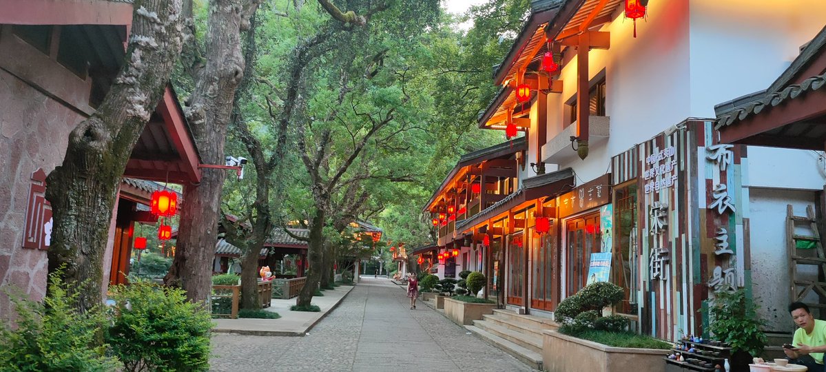 Ali211027 tweet media