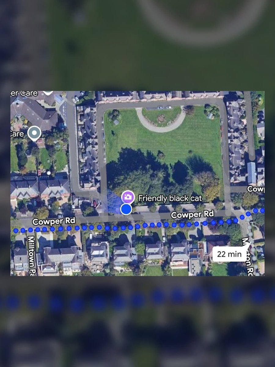 Indie 505 tweet media