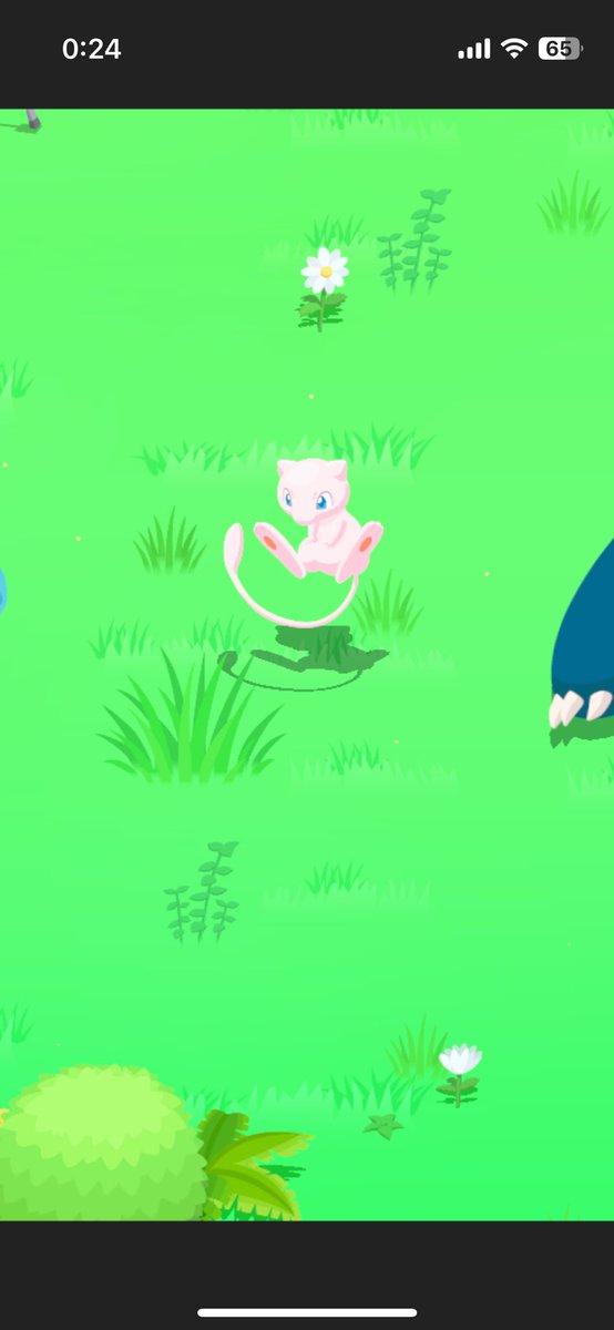 p--nuts@ポケモンスリープ tweet media