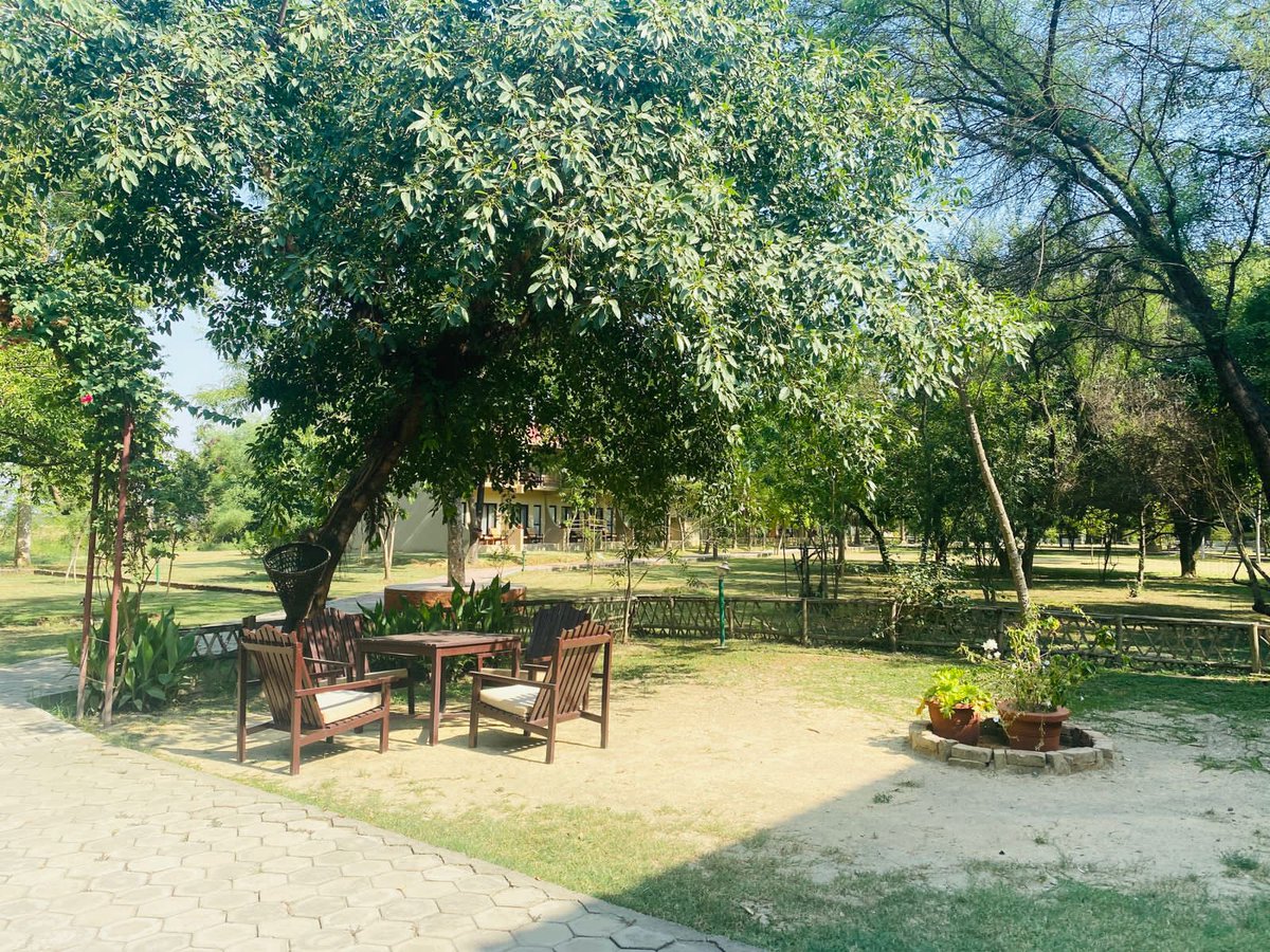 Lumbini Buddha Garden tweet media