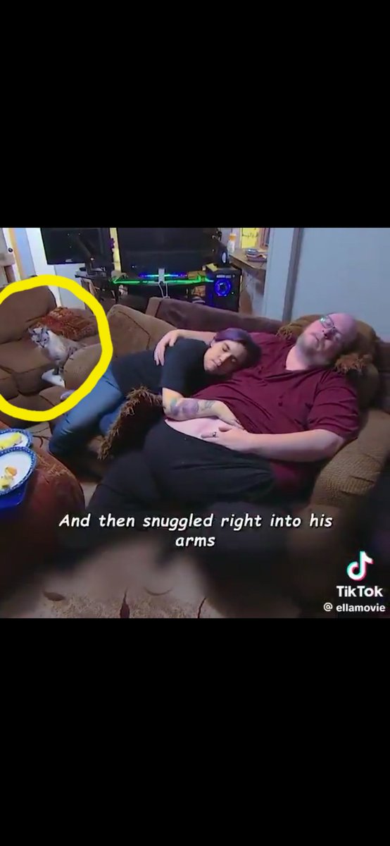 CAT-WHISPERER tweet media