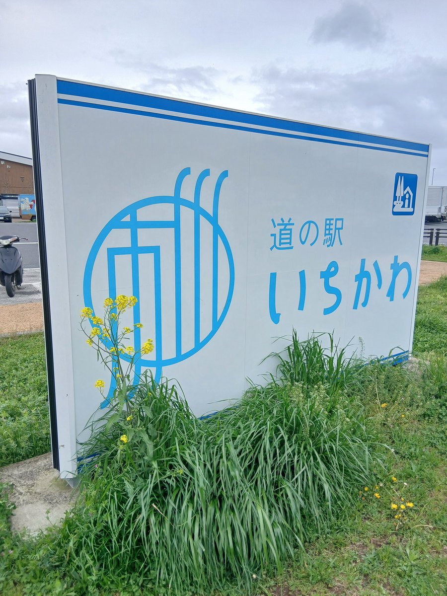 dogstudio punana tweet media