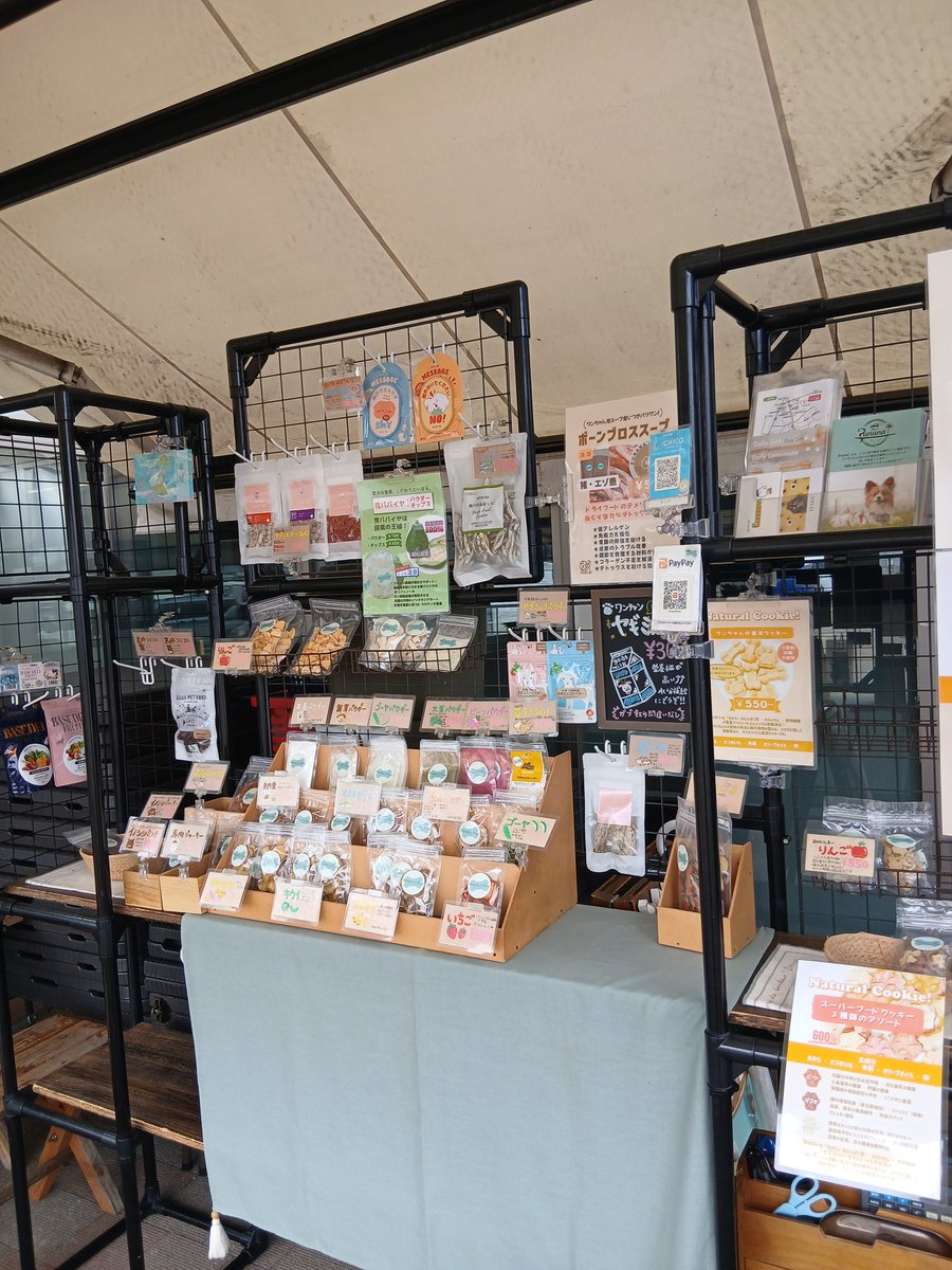 dogstudio punana tweet media