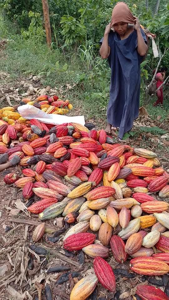 Neptalí Peña tweet media