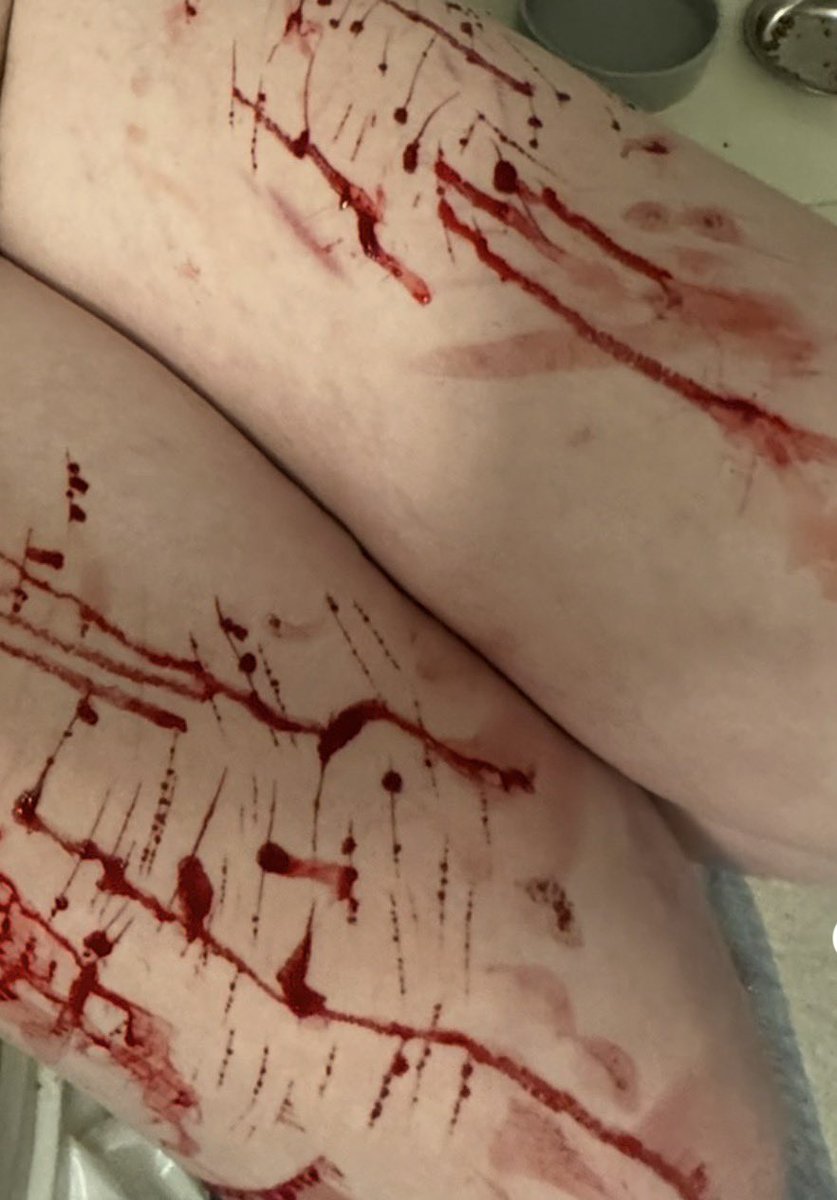 🗝️ petra !! tweet media