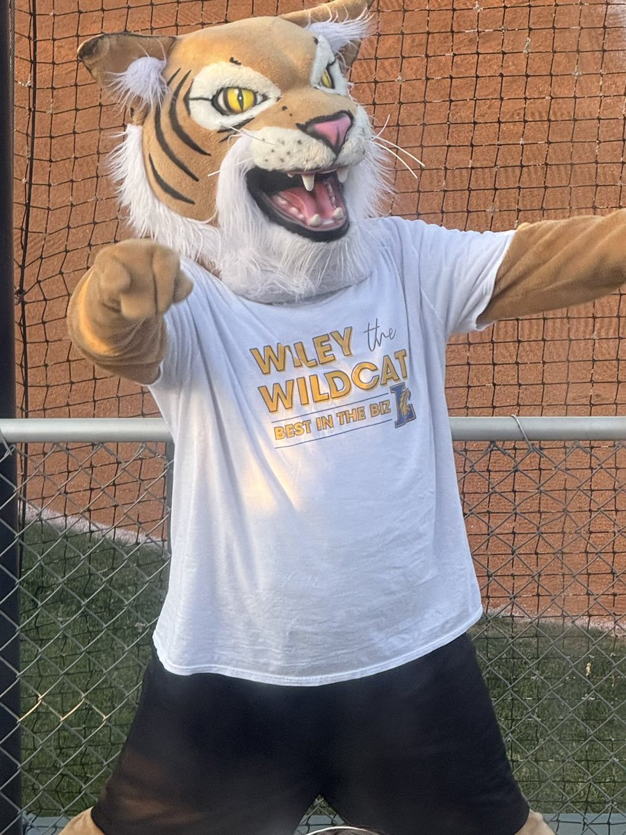 LHS Wildcats Softball tweet media