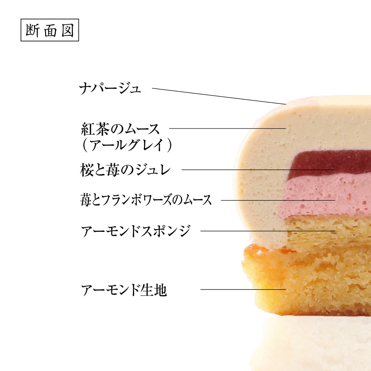 HIBIKA(ひびか) tweet media