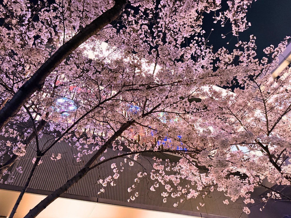 あやのん tweet media