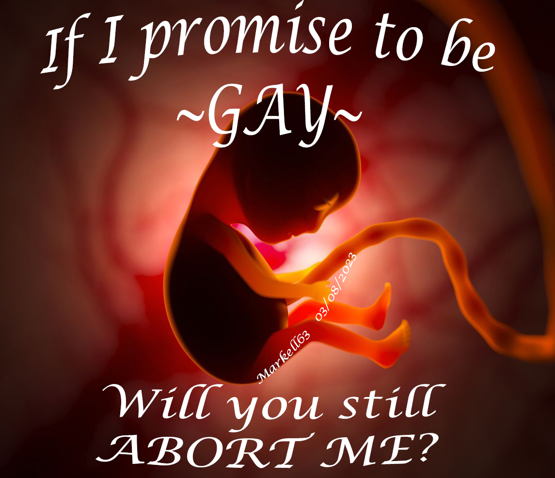 𝕄𝕒𝕣𝕜𝕖𝕝𝕝𝟞𝟛 ⚞🇺🇸⚟ MAGA ⚞🇺🇸⚟ tweet media