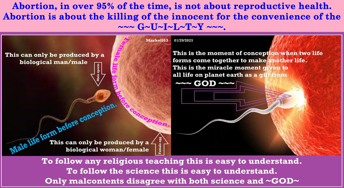 𝕄𝕒𝕣𝕜𝕖𝕝𝕝𝟞𝟛 ⚞🇺🇸⚟ MAGA ⚞🇺🇸⚟ tweet media