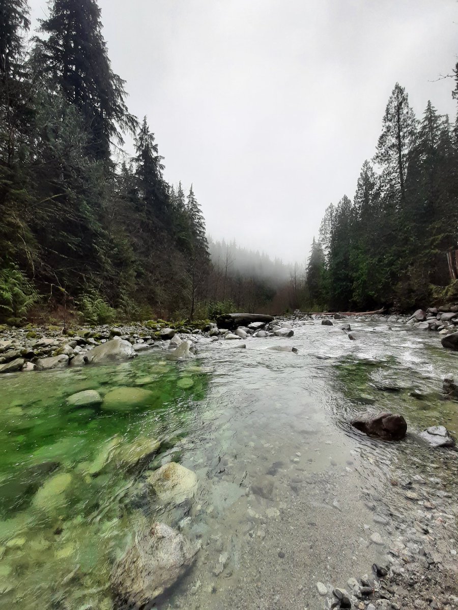 Aaron The Artificer tweet media