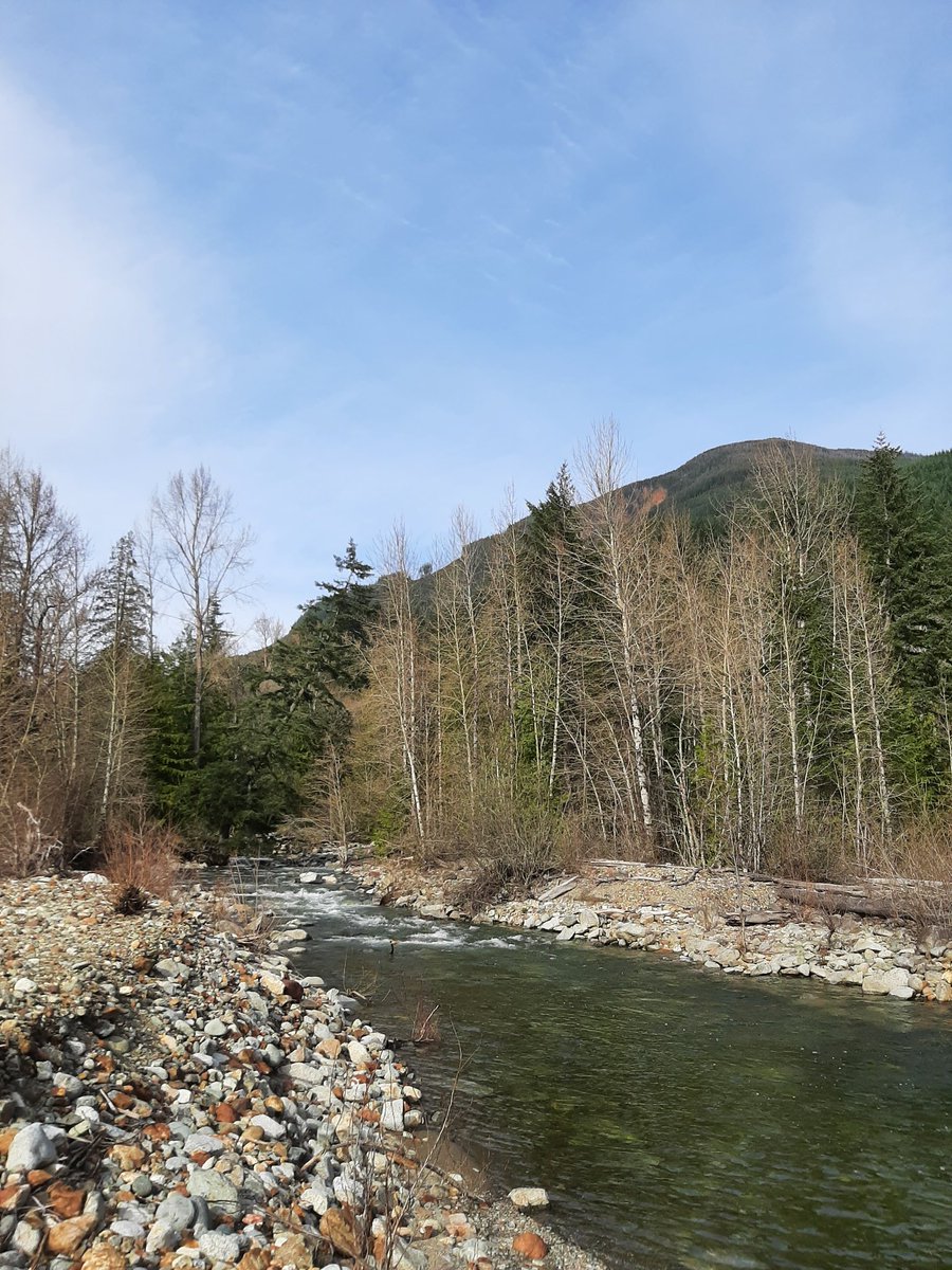 Aaron The Artificer tweet media