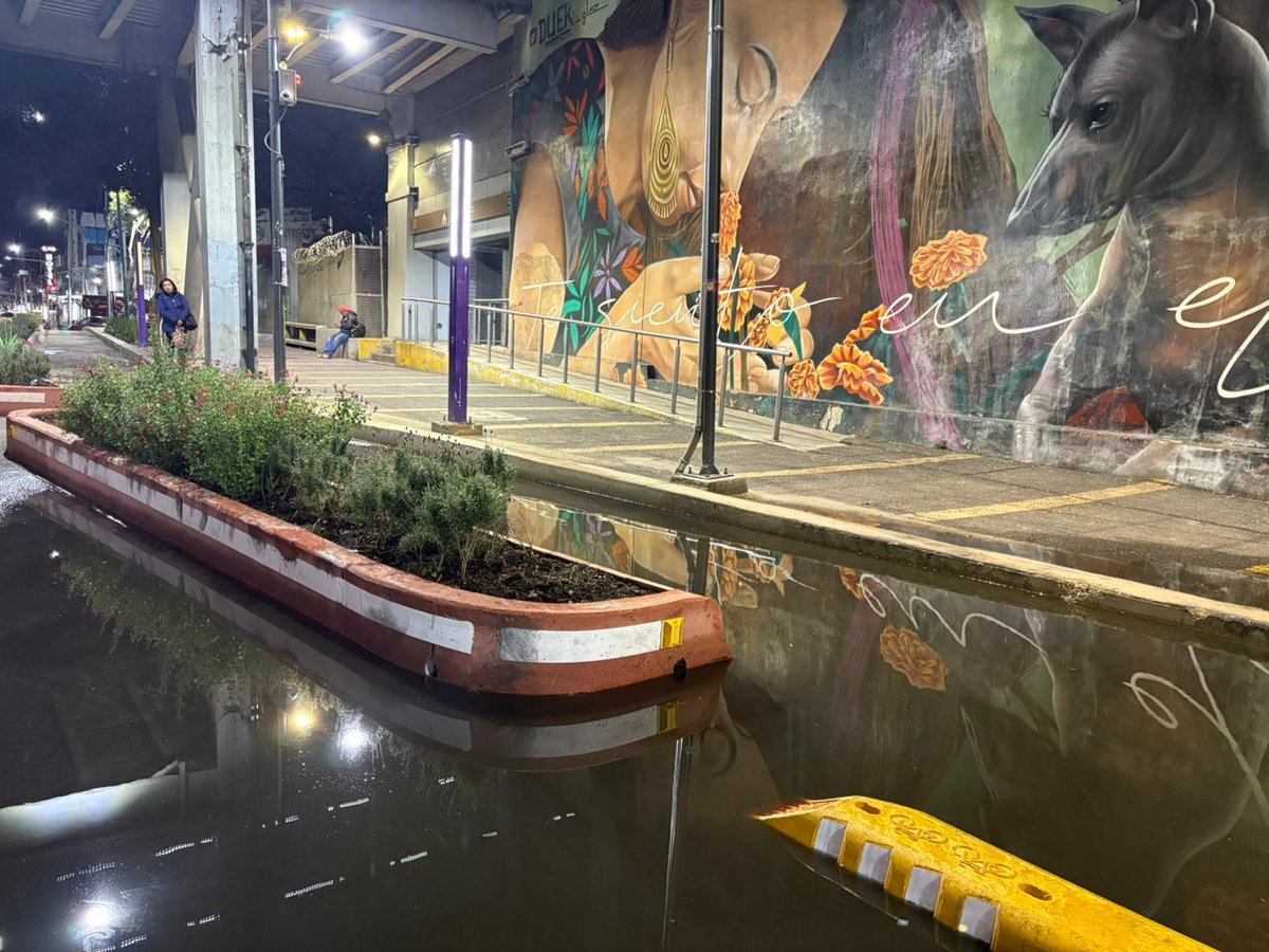 Angel Gallegos tweet media