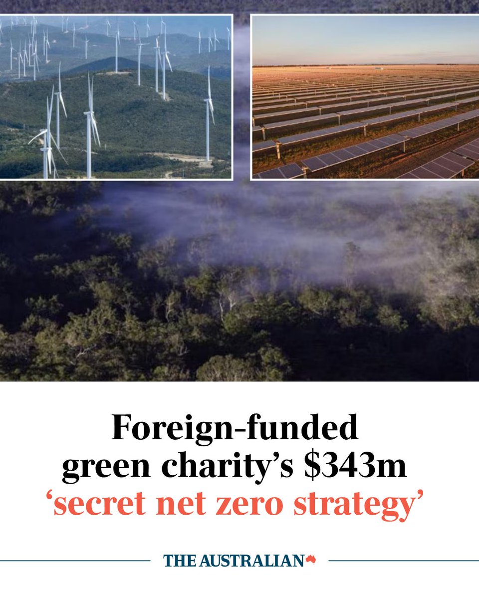 The Australian tweet media