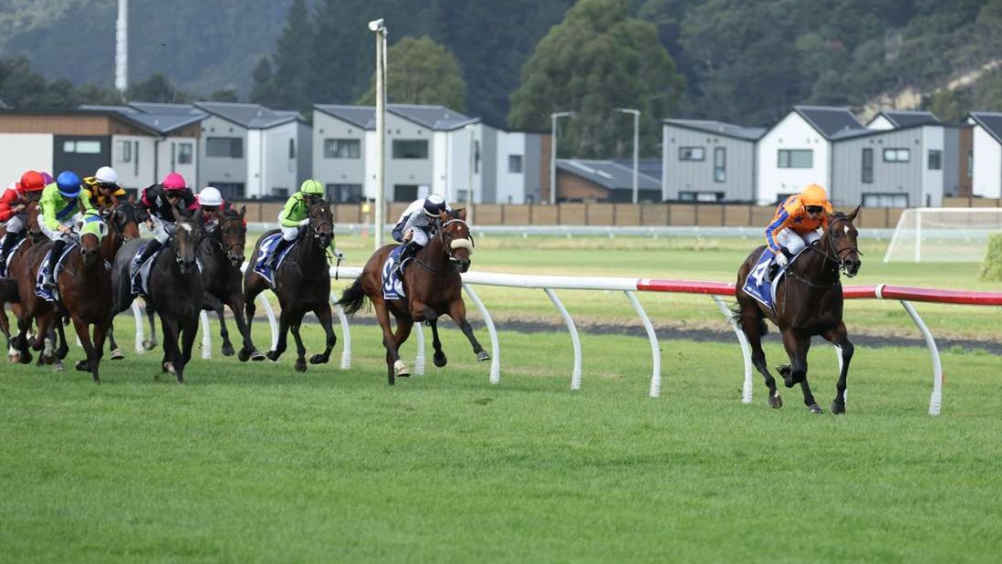 Trackside NZ tweet media