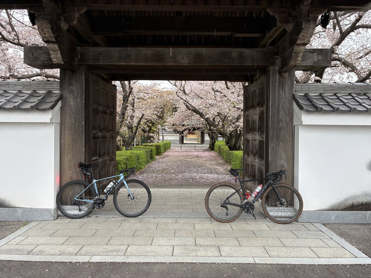 ながきち tweet media