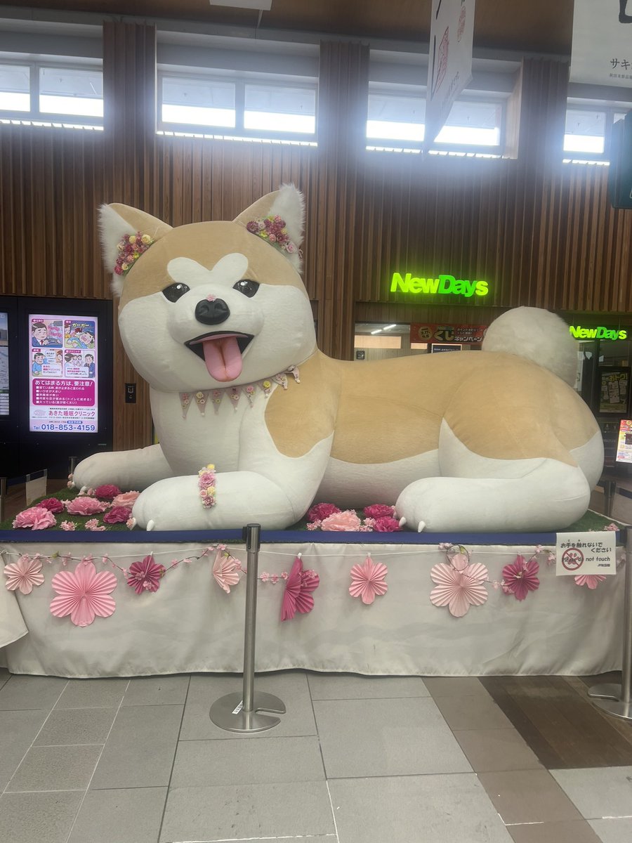 ネギド tweet media