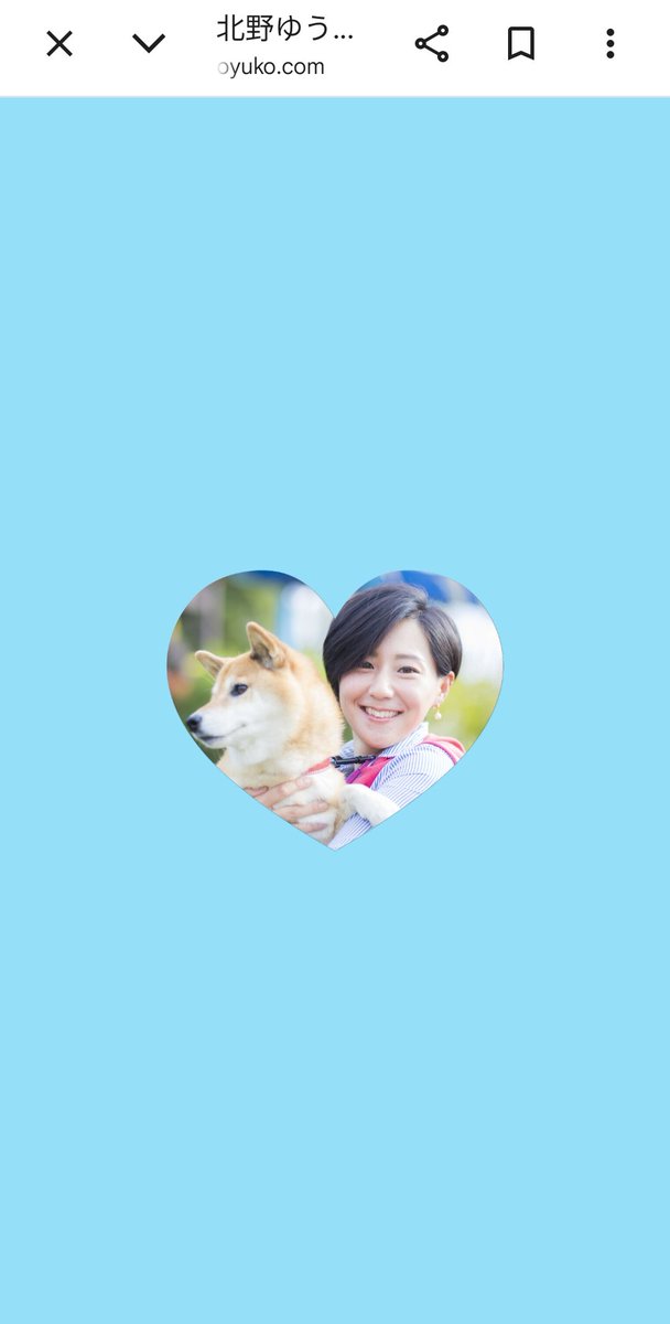 銀河たぬき🍥 tweet media