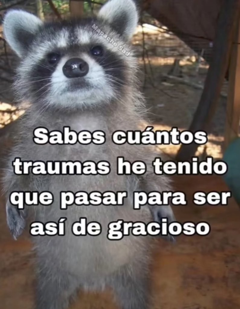 🌙 mini textos tweet media