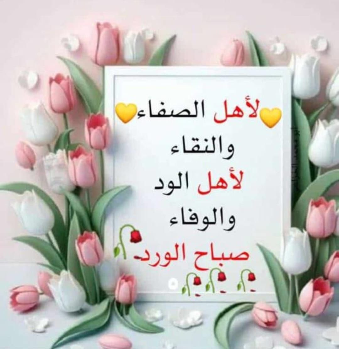 سكيت السكيت (الوافي) tweet media