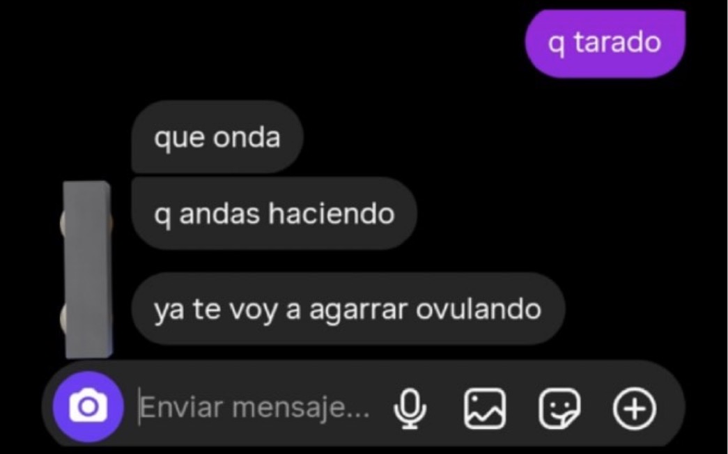 vinoypastis tweet media