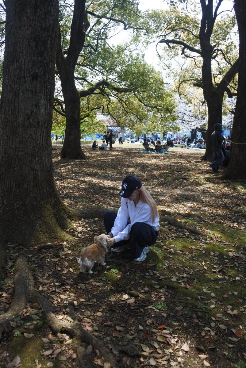 りな【unSea】 tweet media