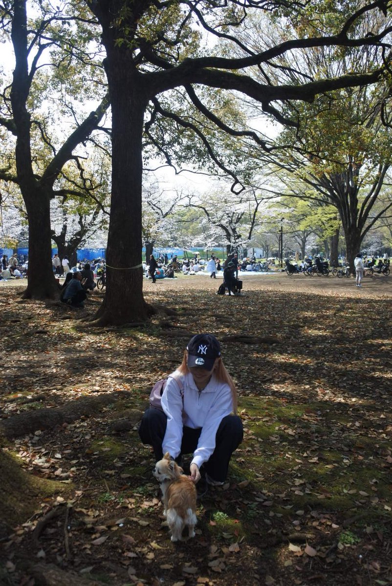 りな【unSea】 tweet media