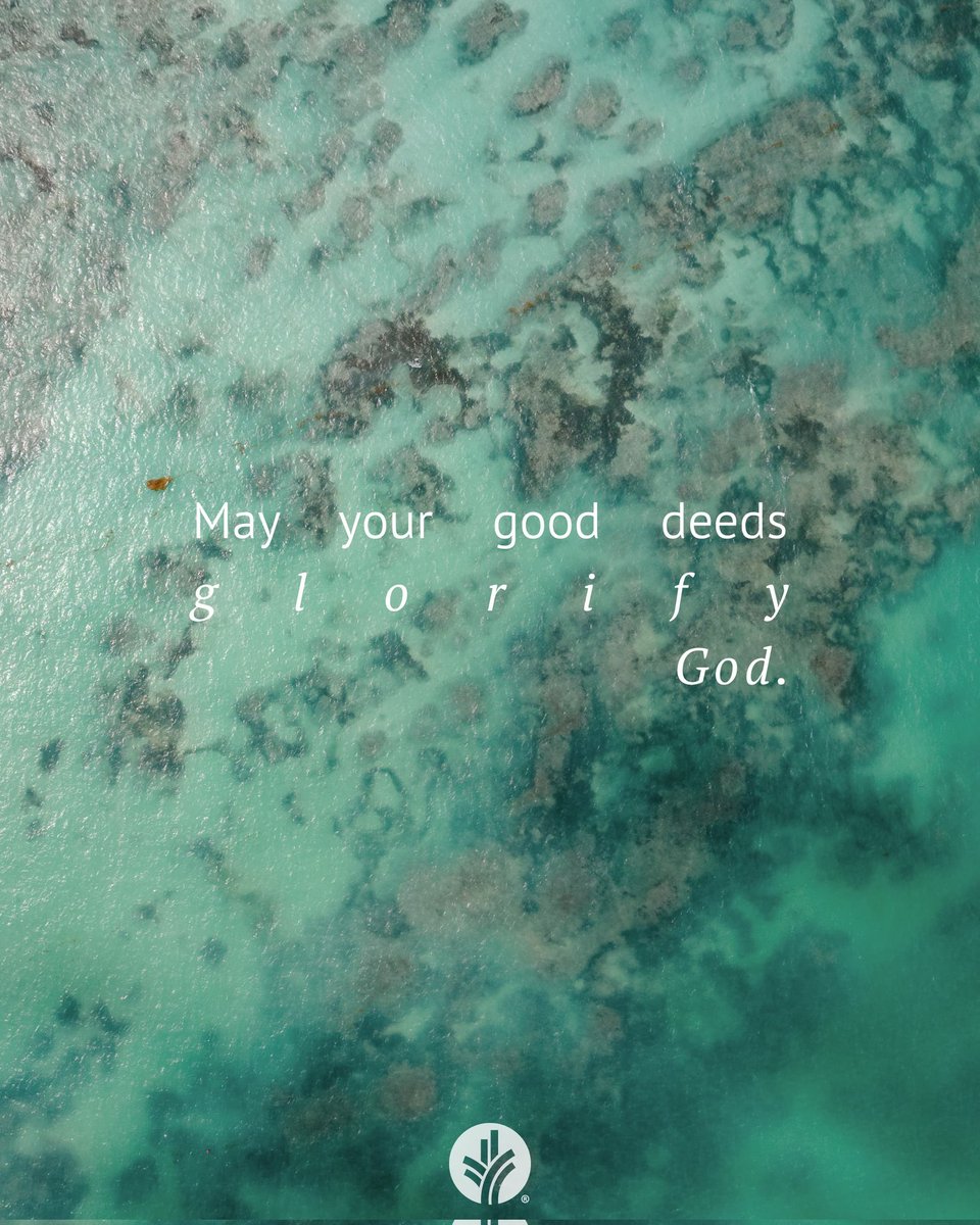 Ian Mbugua tweet media