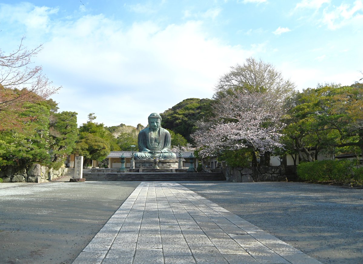 鎌倉市観光協会 tweet media