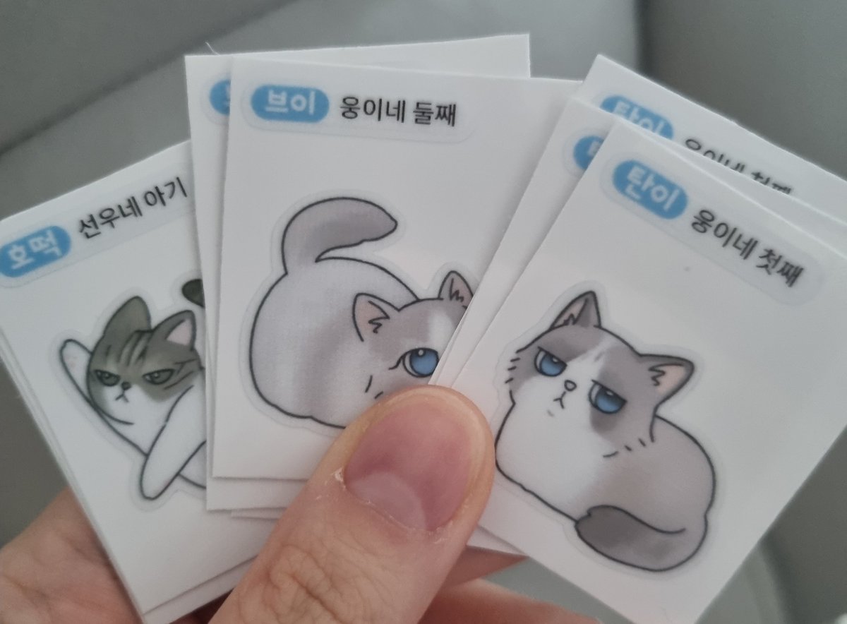 💙햄쨔💙 tweet media