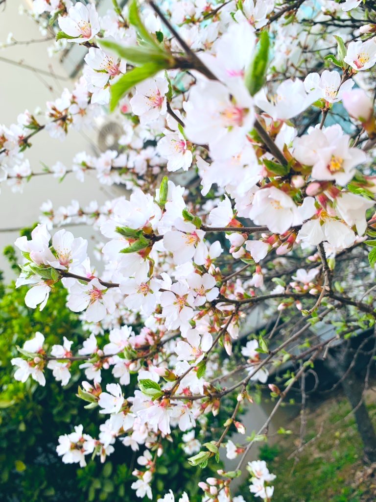 김희숙 tweet media