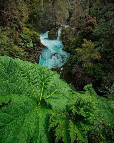 Cari 🦋 tweet media