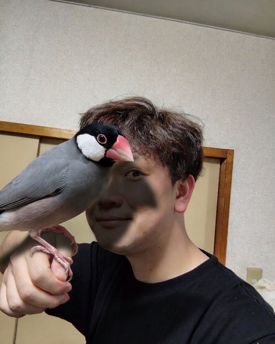 藤井 空 tweet media