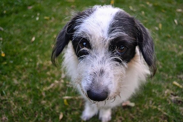 Danny Marea tweet media