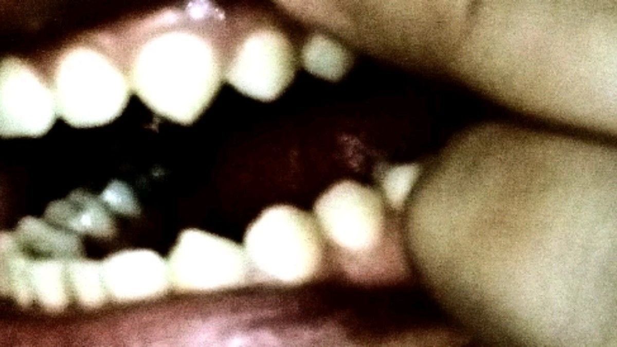 ✒️ 𝕴𝖓𝖐 tweet media