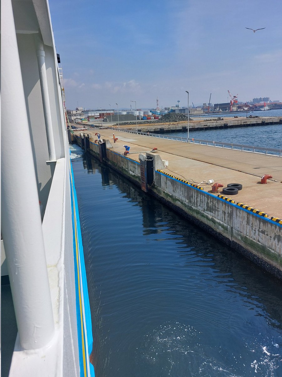 元気な陶人形🤖2026年最新版 tweet media