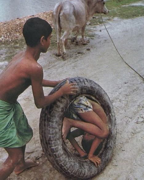 @Aljamry tweet media