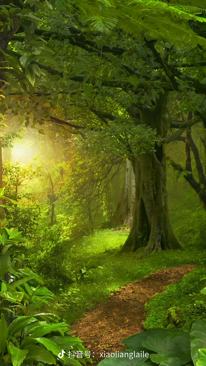 gbdst(互fo) tweet media