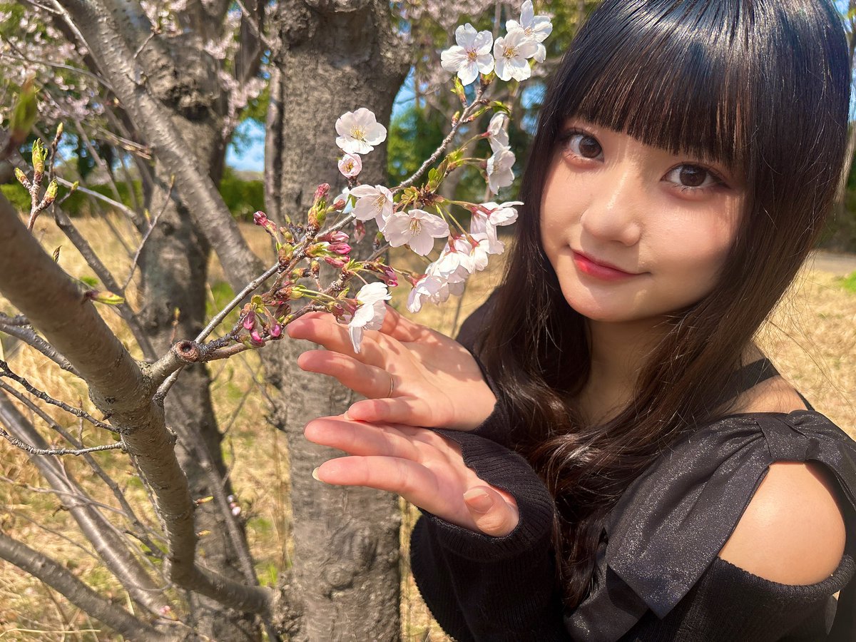 みおん🌻himawari(船橋)🌻 tweet media